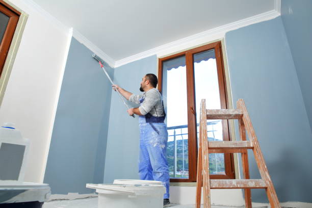 Best Repainting for Renovations  in Forest Park, IL